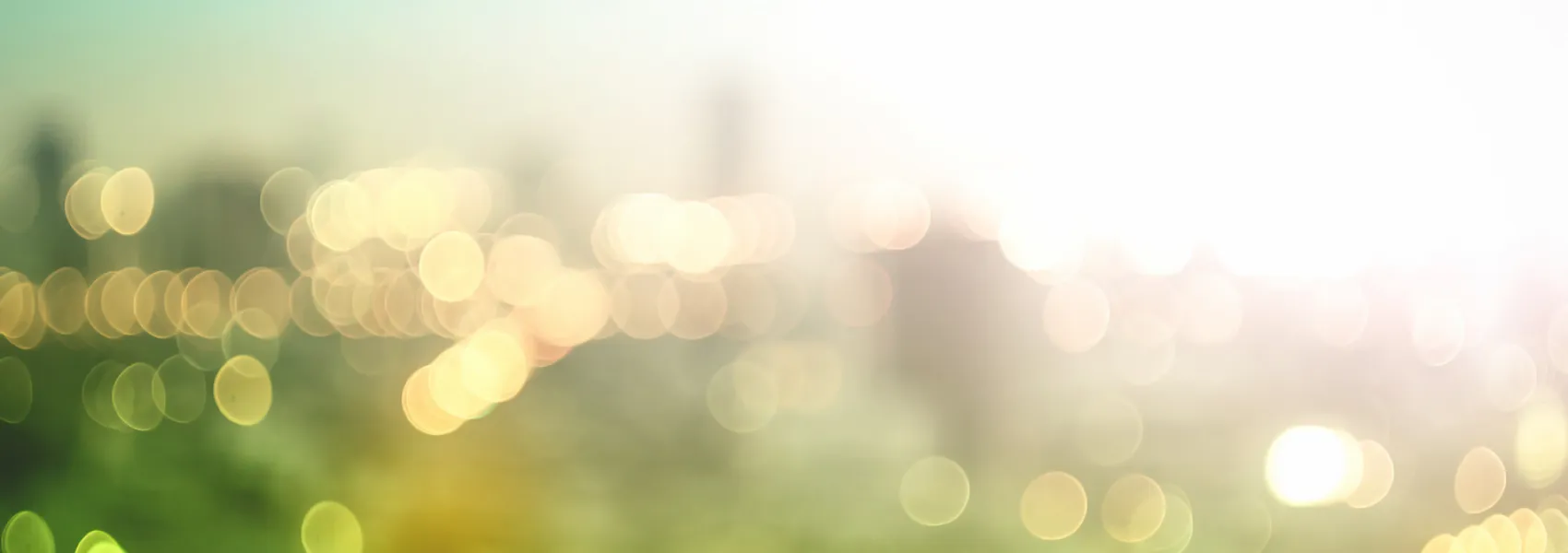 Learn how to protect and restore Solo theme settings in Drupal 10